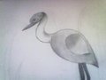 Crane by Munchystamp