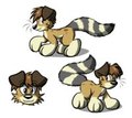 Runt