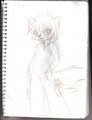 rj-wolfox