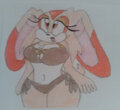 Cute Summer Bunny