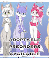*PREORDERS AVAILABLE NOW!*_Flora foxes