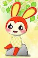 Bunnie