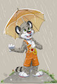 Raining Season