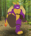 Commission - Spyro