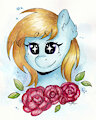 Flower Potrait