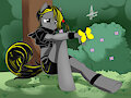 hide in the bush