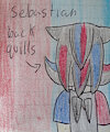 Sebastian back quills