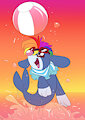 *C*_Sunset swim
