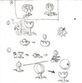 Balloon Plant description (old)