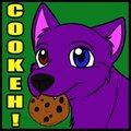 Cookie Icon by DragoonWolf