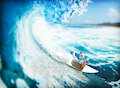 Wolf in a Box in a Surf Table by Kasdaye