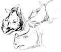 Rhinos by PeechisAndCream