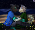 A lovely night at the beach