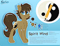 spirit wind ref