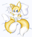 Tails on the sheets 3