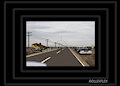 Picture Jed Coyote Took While Approaching an Accident Scene