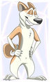 Akimbo Akita by sirnadroj