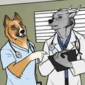 Consulting