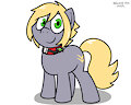 14 Pony Mar