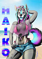Badge - Haiko 2019