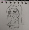Maid Marian Traced