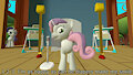 Ponyville Talent Contest