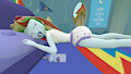Sleeping Dashie