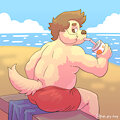 Beach pup