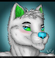 [COMMISSION] - Tisero portrait