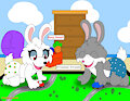 Bunny bedtime