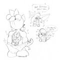 [P / G] Conquest