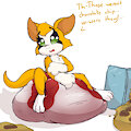 Fidget's cookies