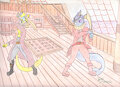 Pirate fight