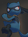 Riolu