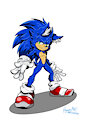 Happy Birthday Sonic!!! 2020