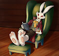 Night of the Rabbit 1