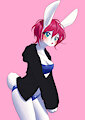 Rabbit