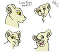 Lion King Colored