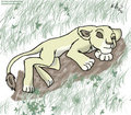 Lion King - Upendi