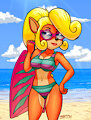 Nitro-Fueled Summer -  Coco