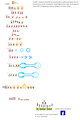 All Forms Of Cenk The Saiyan Sprites Sheets by Cenker