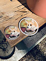 Upgraded sticker size!