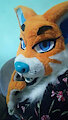 Cute foxy