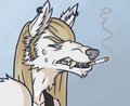 Varg by Ellenocalypse