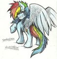 RainbowDash! by Mimy92Sonadow