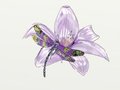 Sweet dragon fly by BeBoo