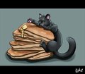 Catcakes
