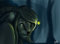 Noctiluca