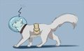 Mooncat