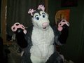 Plush Possum! by Dombrus